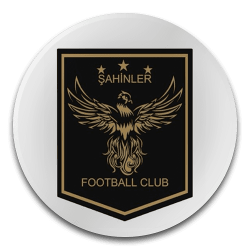 ŞAHİNLER FC