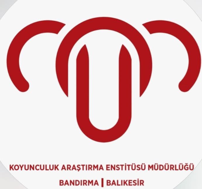 MERİNOSGÜCÜ